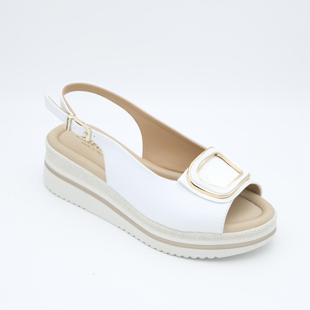 01797_8|37445a5f3c7910f28547bf0dd0202cdd